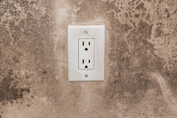 Best Asbestos and Lead Testing During Mold Inspection  in Minerva, OH